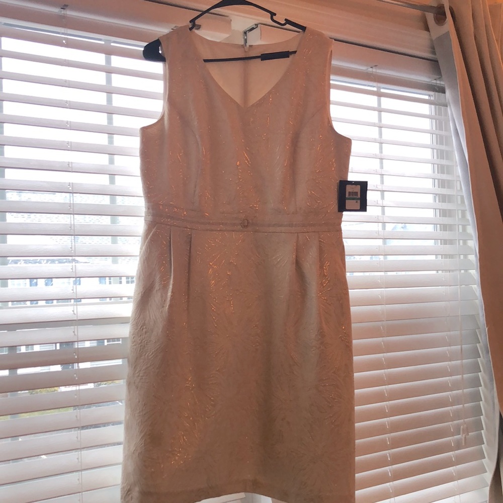 Ellen Tracy NWT Size 16 Dress